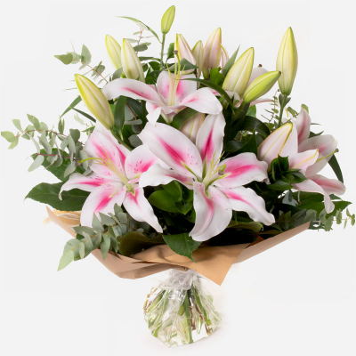 Star Gaze
 - A special gift of long lasting Oriental Lilies so simple, so perfect.
