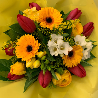 Splash of Colour - A vibrant gerbera posy hand-tied featuring a mix of colours carefully selected by the local florist. Hand-delivered in a gift bag or box.