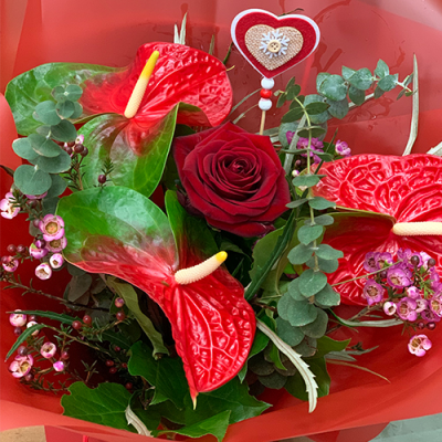 Head Over Heels - An stunning handtied in water presented in a gift box, created using the fresh blooms of the day in red with complementary foliage.